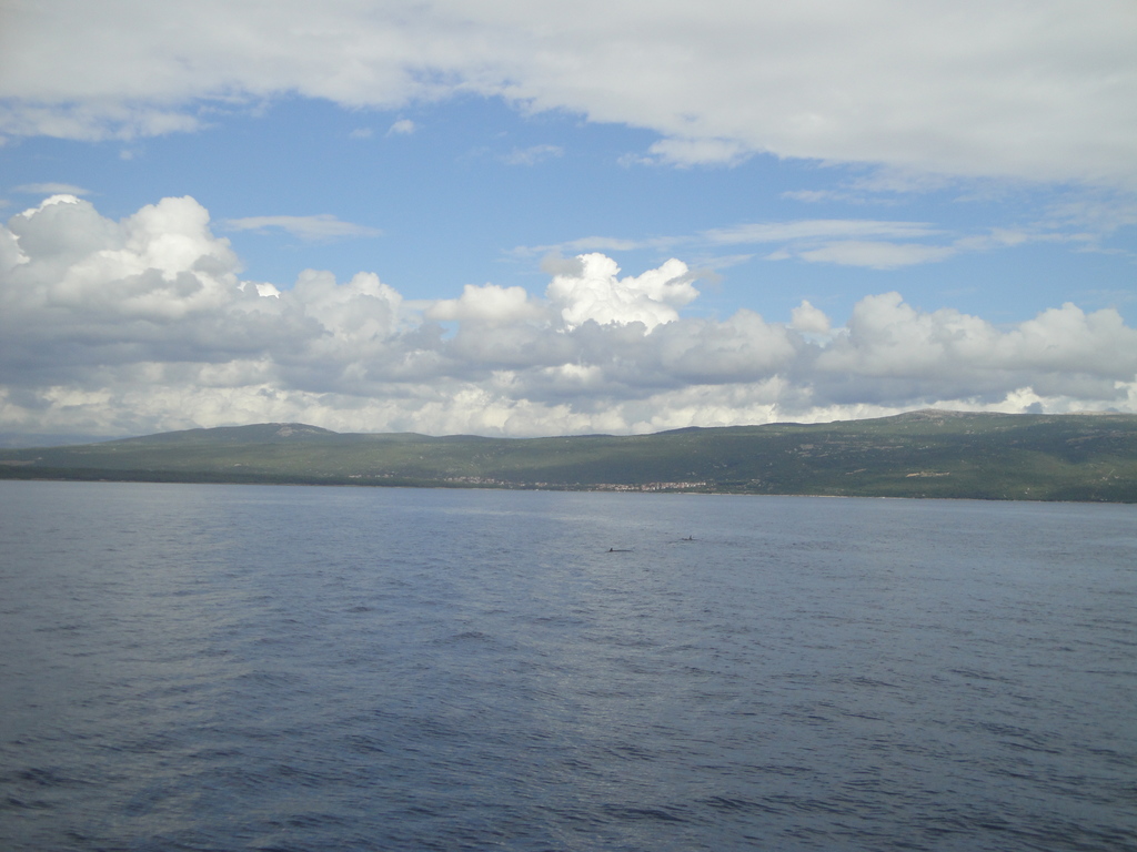 DSC00201.JPG