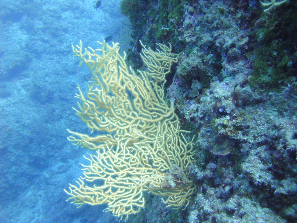 DSC00213.JPG