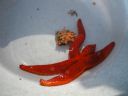 DSC00009.JPG
