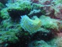 DSC00022.JPG