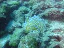 DSC00024.JPG