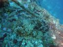 DSC00033.JPG