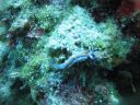 DSC00034.JPG
