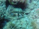 DSC00036.JPG