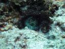 DSC00117.JPG