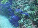 DSC00137.JPG