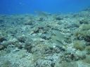 DSC00151.JPG