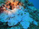 DSC00152.JPG