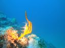 DSC00154.JPG