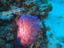 DSC00156.JPG