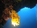 DSC00157.JPG