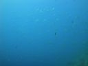 DSC00268.JPG