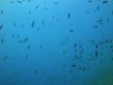 DSC00269.JPG