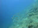 DSC00272.JPG