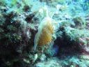DSC00282.JPG