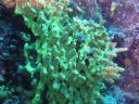 DSC00288.JPG