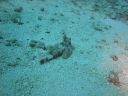 DSC00292.JPG