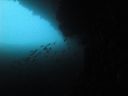 DSC00305.JPG
