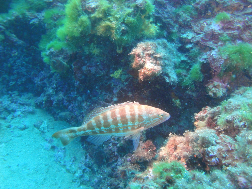 DSC00009.JPG