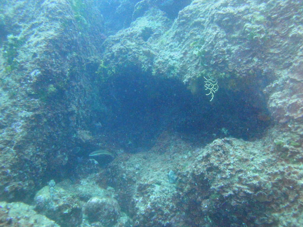DSC00047.JPG