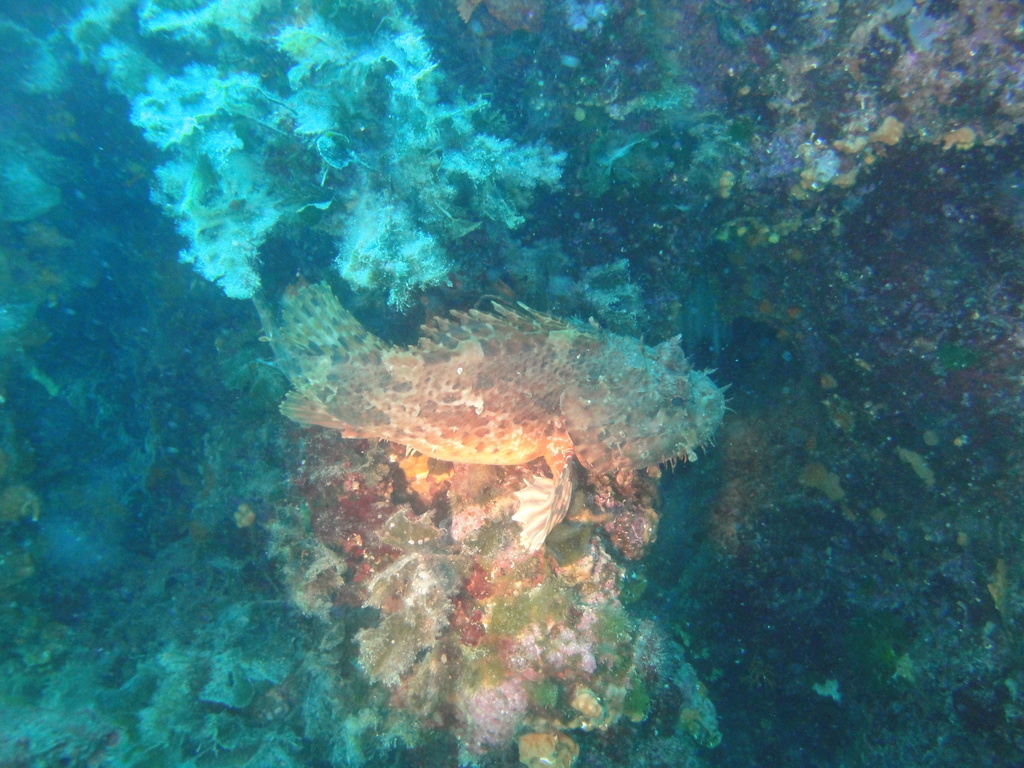 DSC00072.JPG