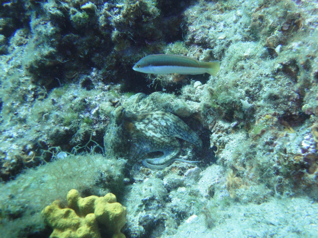 DSC00134.JPG