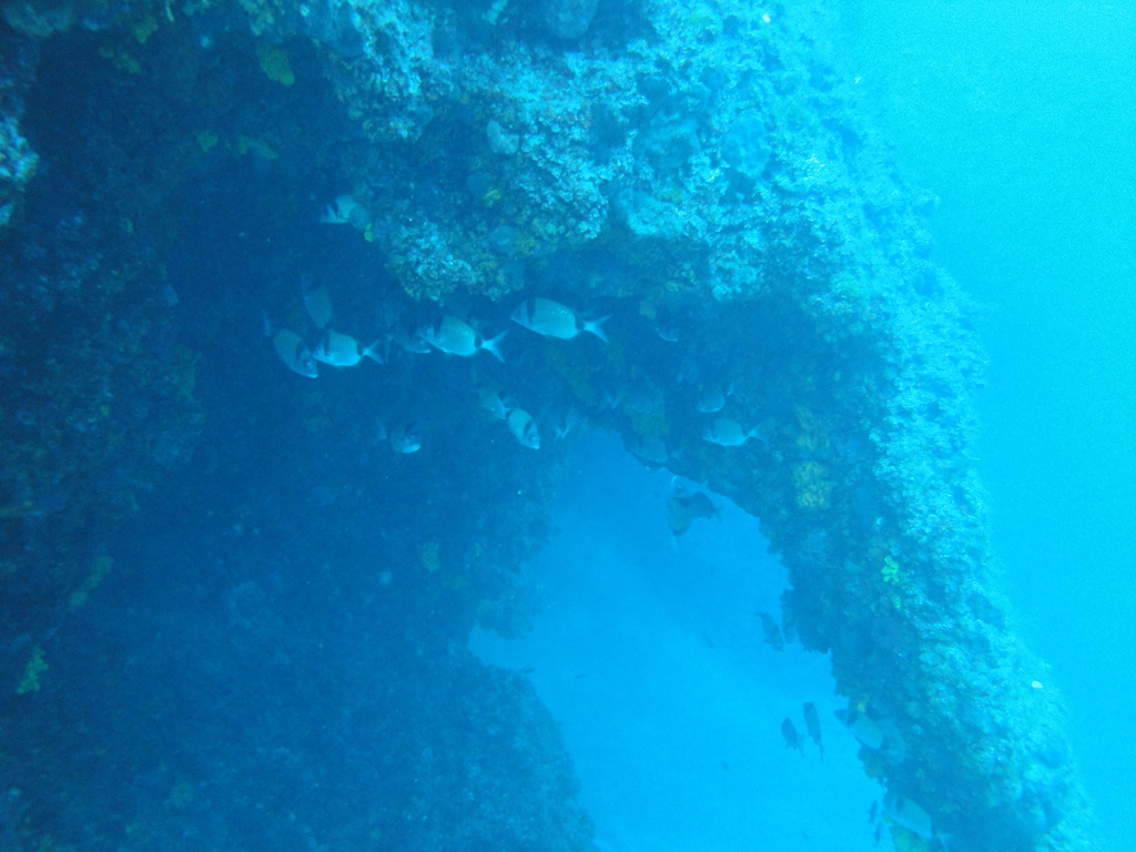 DSC00173.JPG