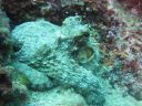DSC00054.JPG