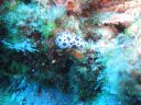 DSC00112.JPG