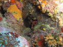 DSC00116.JPG