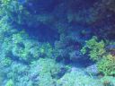 DSC00117.JPG