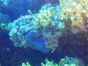 DSC00118.JPG