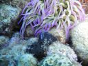 DSC00119.JPG