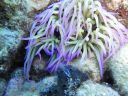 DSC00120.JPG