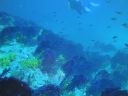 DSC00122.JPG