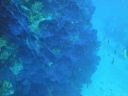 DSC00124.JPG