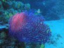 DSC00125.JPG