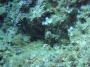 DSC00127.JPG