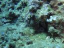 DSC00130.JPG