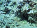 DSC00131.JPG