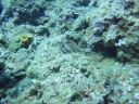 DSC00132.JPG