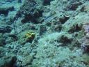 DSC00133.JPG