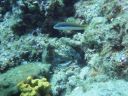 DSC00134.JPG