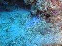 DSC00136.JPG