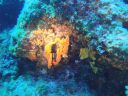 DSC00139.JPG