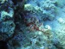 DSC00140.JPG