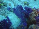 DSC00142.JPG