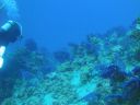 DSC00143.JPG