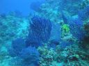 DSC00144.JPG
