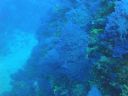 DSC00145.JPG